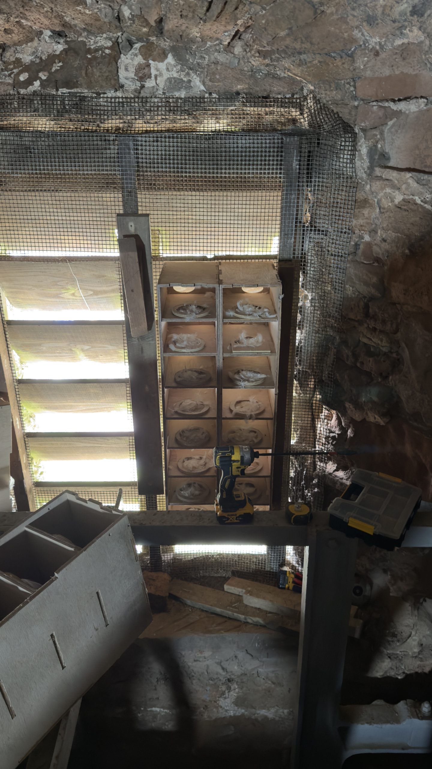 Installations update August 2025 – Devon Swift Project