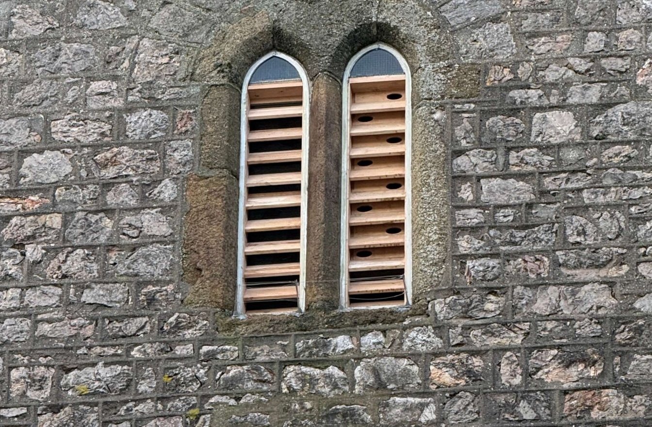 Resources – Devon Swift Project